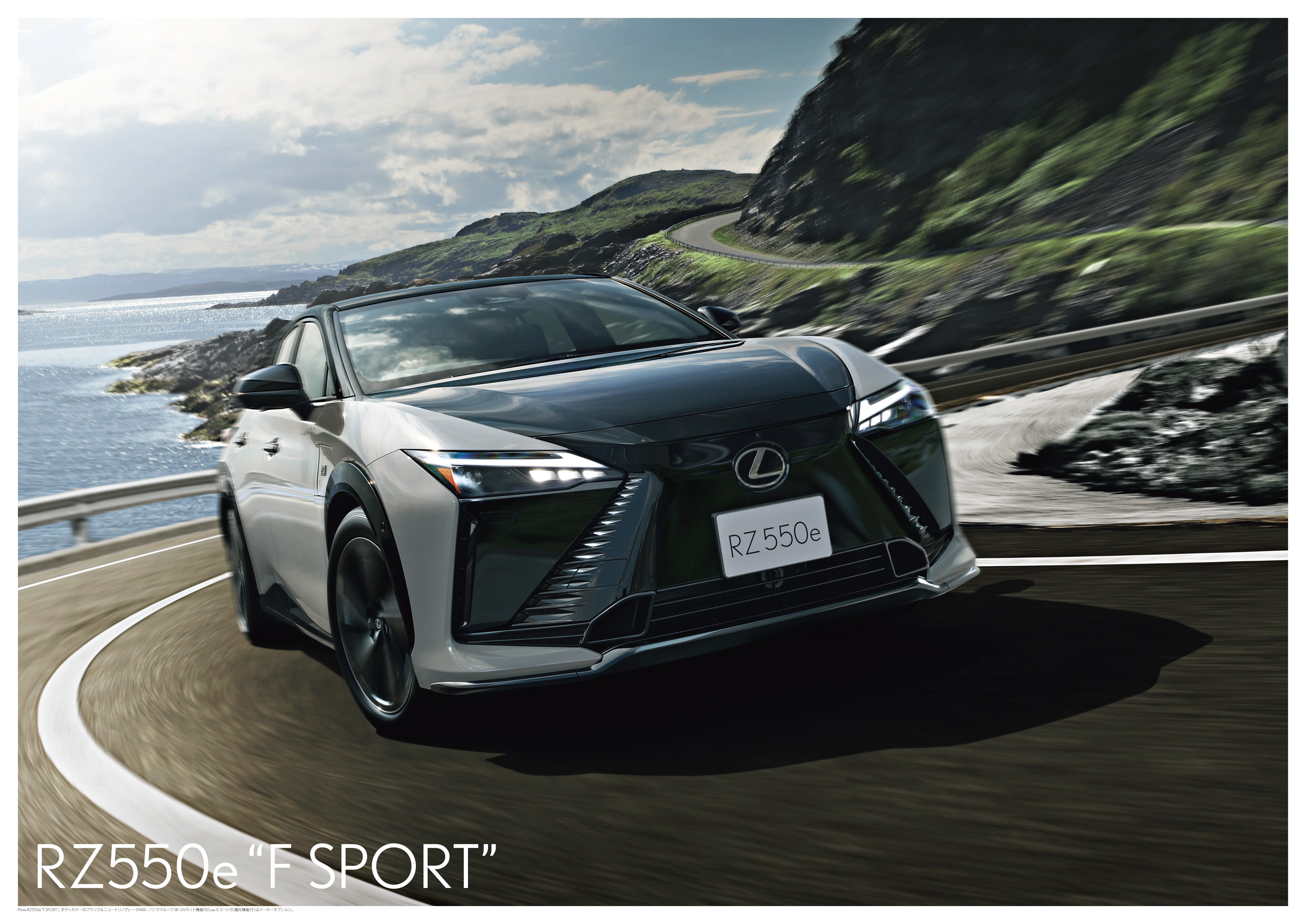 RZ_poster_F SPORT_1127_OL